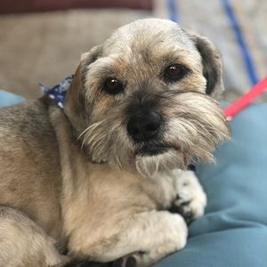 Meet your Posher, Amber